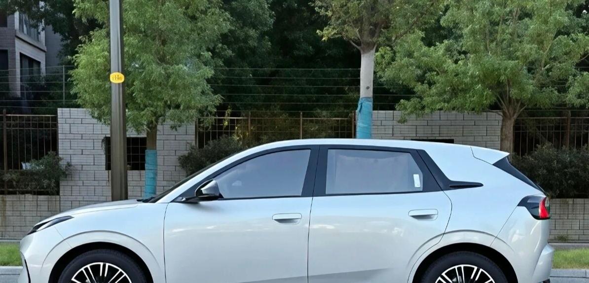 怎么竞争啊，极狐T1，是伪装成小车的巨兽。来看看9月份销量前十的小型车:极狐