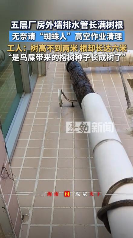 “活久见！”9月13日，广东汕尾，一厂房4楼以下排水正常，上方却发生堵