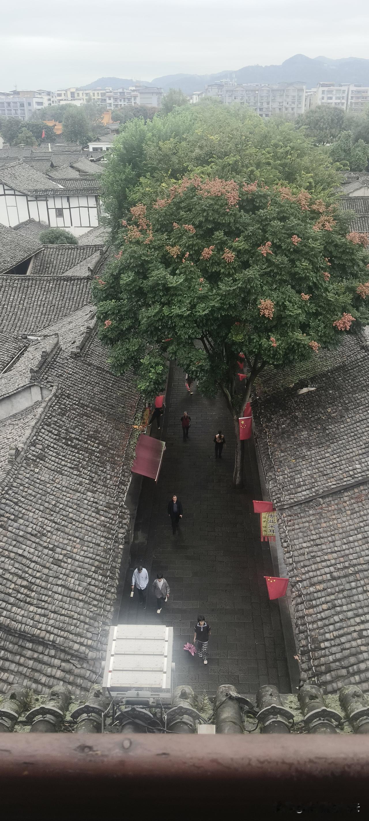 阆中古城是我一直非常期待去旅游的景点，由于种种因素，这几年一直没去成。直到今年国