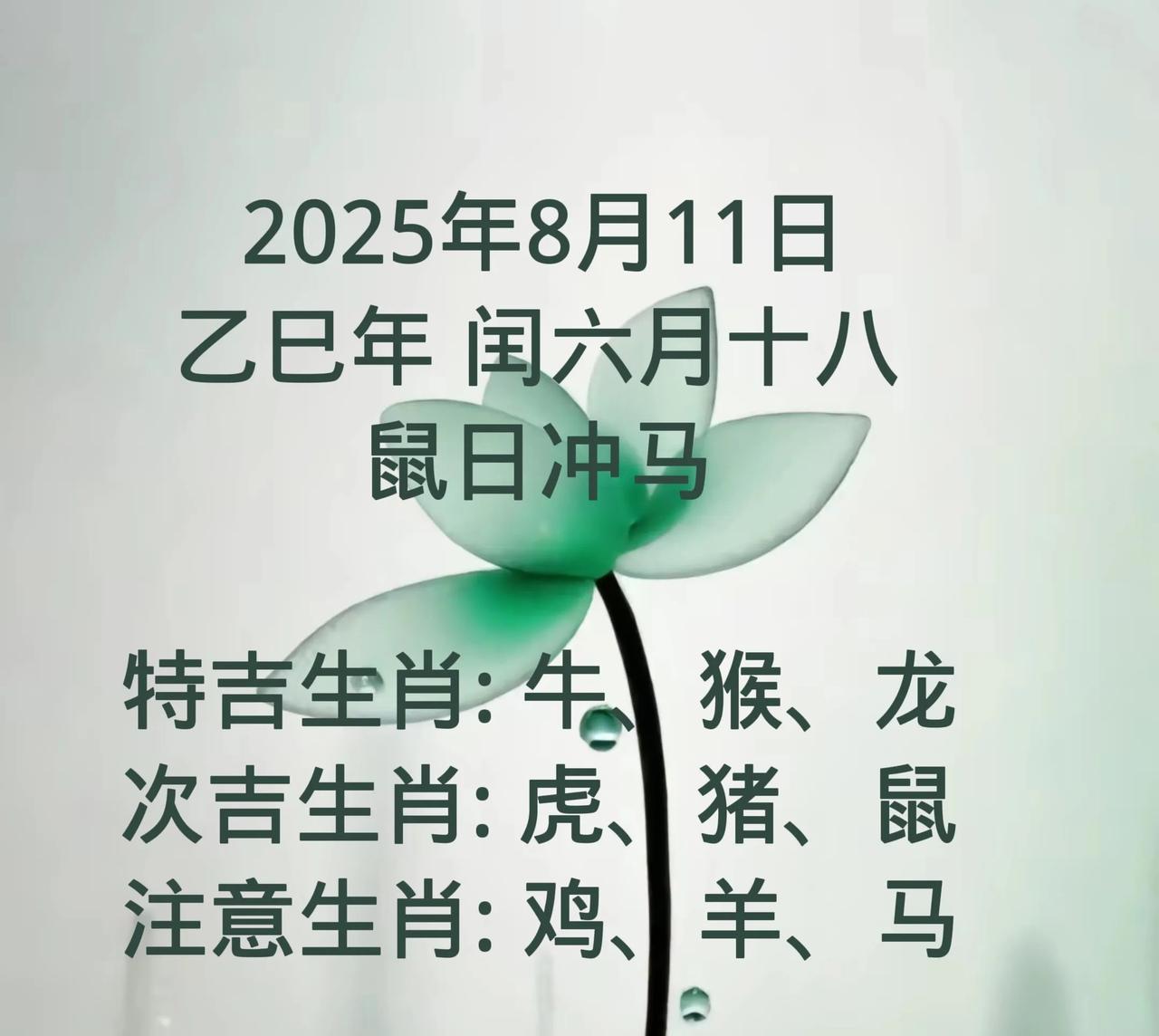 2025年8月11日乙巳年闰六月十八鼠日冲马特吉生肖:牛、猴、龙次吉