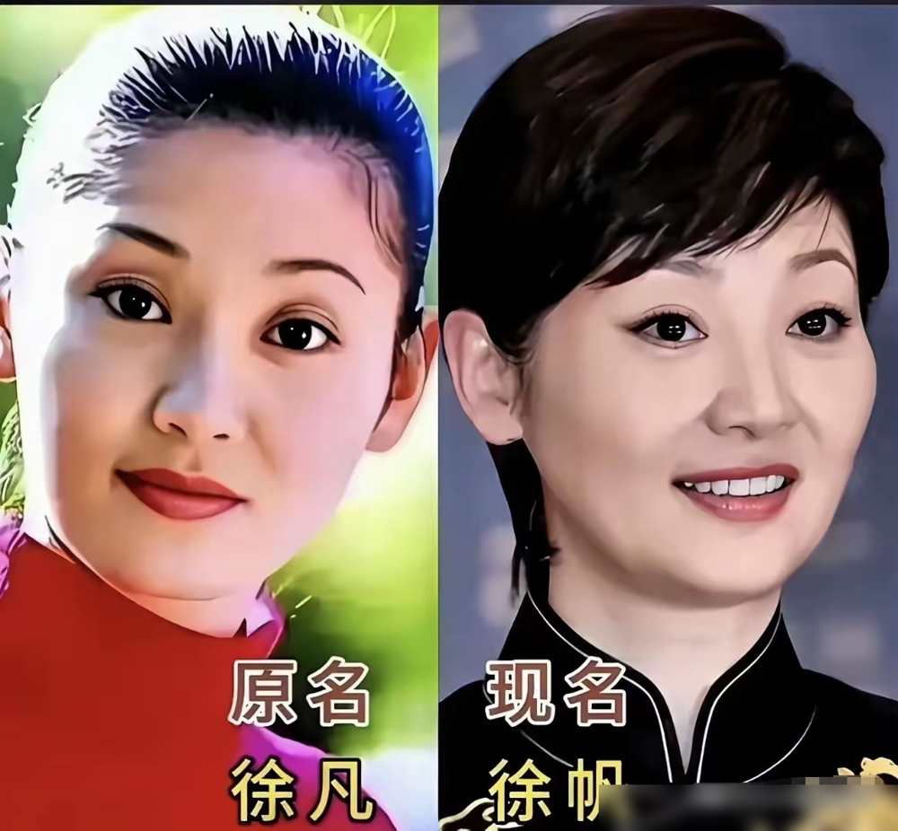 陈数原名陈澍，外公外婆起的，寓意及时的雨。结果这字太生僻，电视台做海报直接给印成陈澎。2005年演完