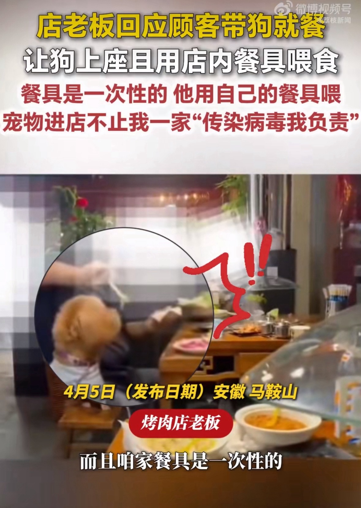 店家允许带狗就餐称染病我负责好家伙，让狗上桌且用店内餐具喂食。看到这种店赶紧跑吧