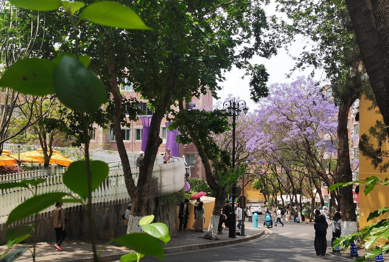 旅游业对城建的反向打造，在昆明的黄公东街上体现得可谓淋漓尽致。这条原本在昆明几