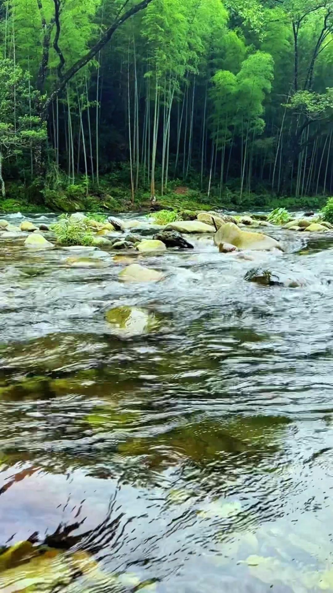站在山谷边看着清透的溪水慢悠悠淌过，整颗心都跟着软下来。所有攒了许久的焦虑和烦