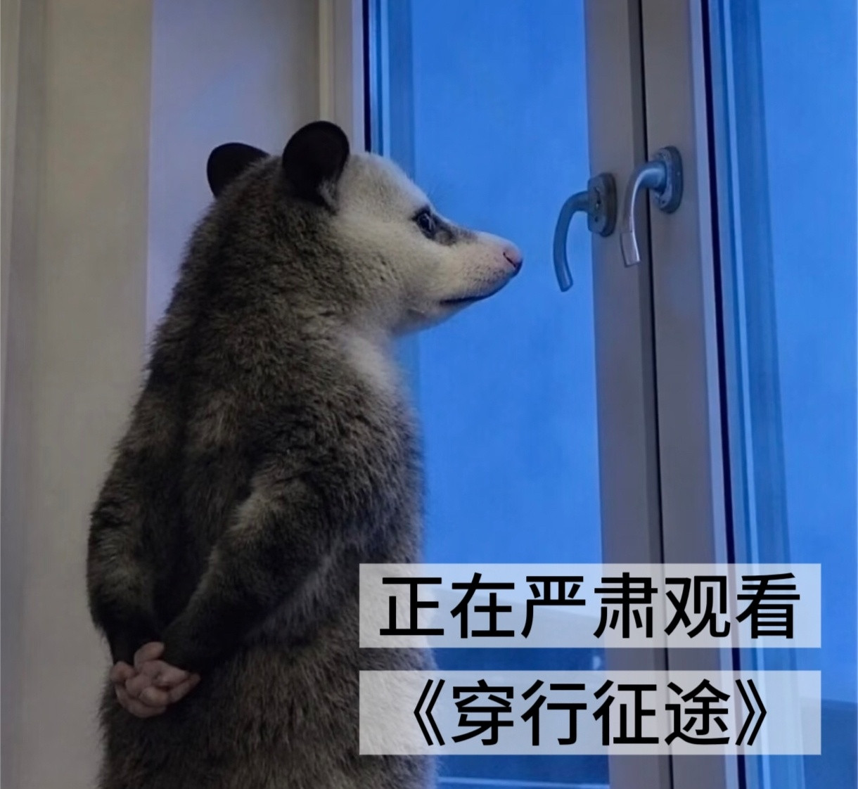 陈楚生也有摩托车情结从修车铺到世界赛场，张雪的机车梦够燃；陈楚生藏着的摩托情结