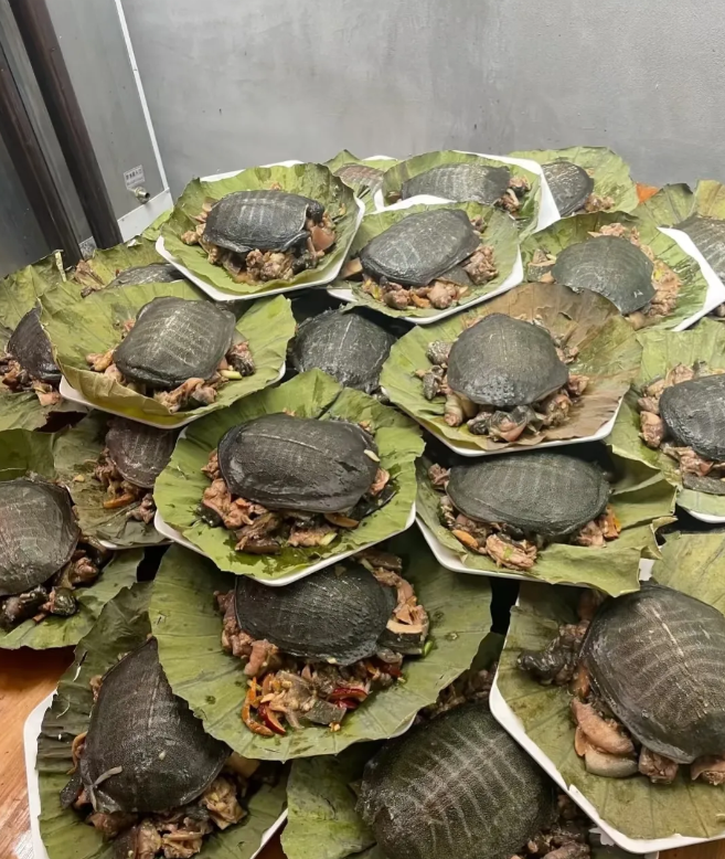 这是搂席的菜？广西那边的菜真的震惊我了！这是什么美食？乌龟壳子吗？广西