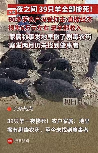 山西霍州一对六旬老人，竟因一次贪小便宜的举动，赔光了全家的养老本钱！39只