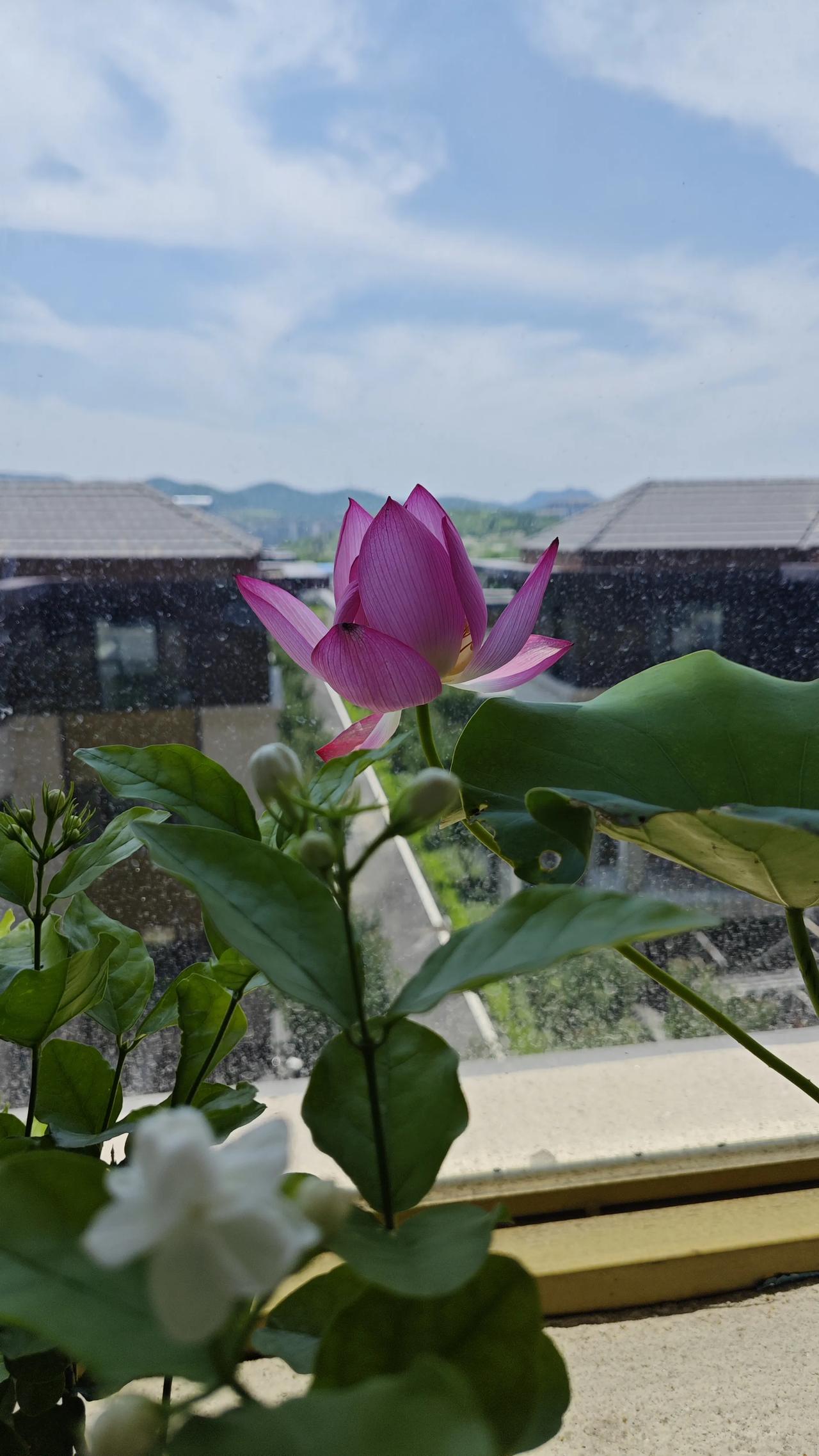 倪海厦：真正让你气血恢复的方法就两种我是“高等教育文摘”，深耕教育学、心理学