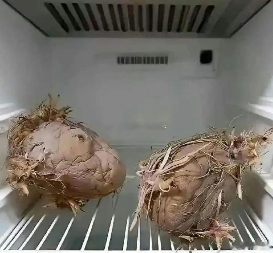老一辈就是节约，殊不知电费都比它们贵
