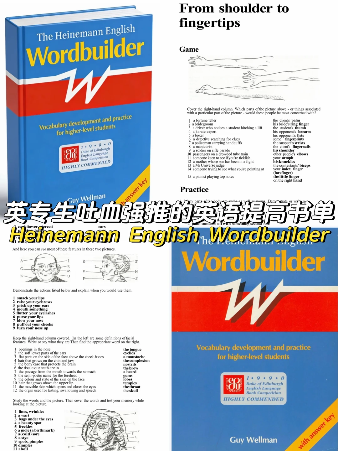 英专生吐血强推的六本英语提高书单（九）