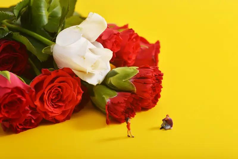 女人所需的安全感，可不只是婚姻和钱。在亲密关系里，“被坚定选择”的安全感超重要