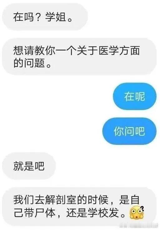 这个问题问完我感觉大脑褶皱都被抚平了迷惑行为大赏​​​