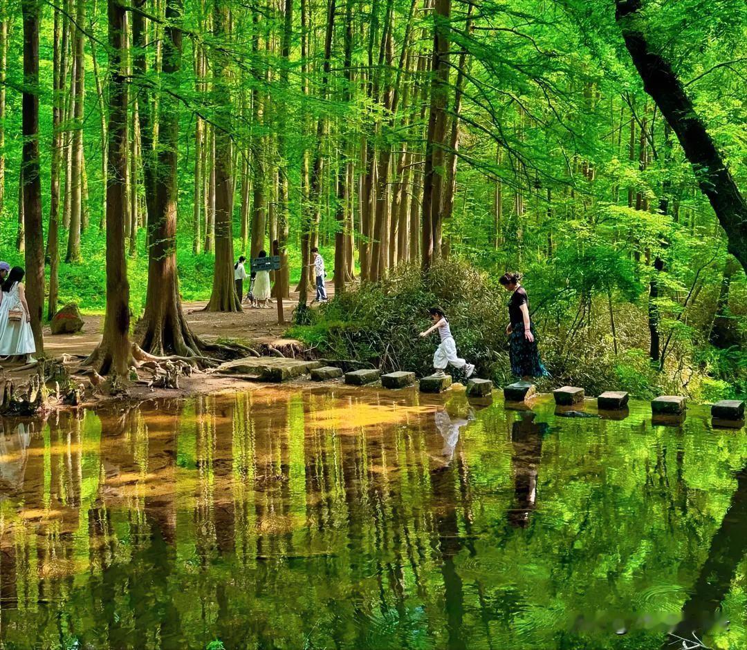 人生很苦,苦在哪里?欲望无底壑，贪求缚此生，人间大半烦恼，皆由心起。人生一世