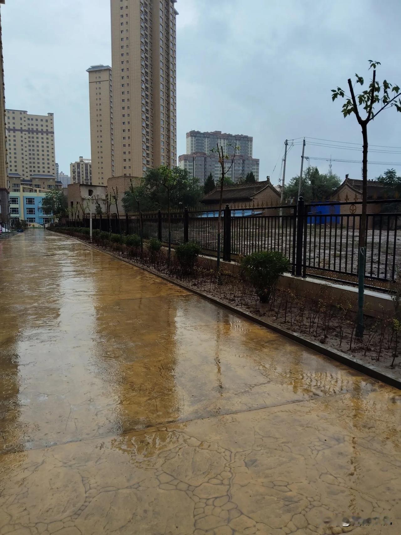 遇60年罕见的大旱后，大雨来了。地里的夏田大多已收割，估计连籽种也收不了。大雨来