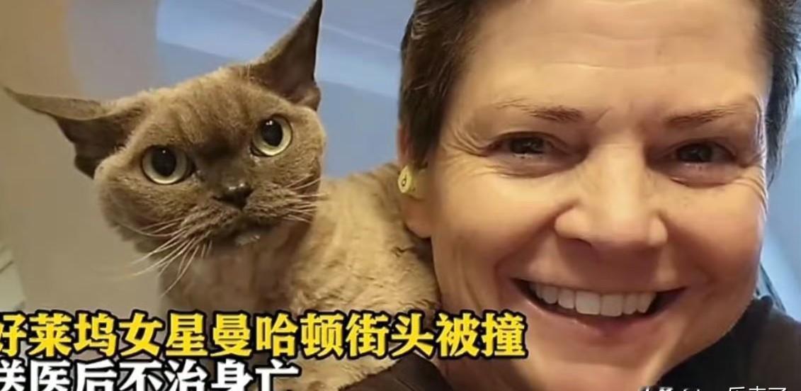 别以为走斑马线就安全。左转的SUV，就在昨晚八点，碾碎了一位20年戏龄女演员的