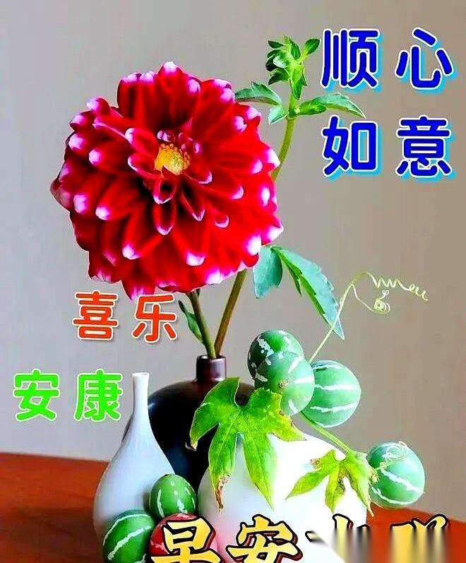 有时候真觉得,日子是按“Ctrl+V”过的。周一到周五,一眨眼,又没了。但生