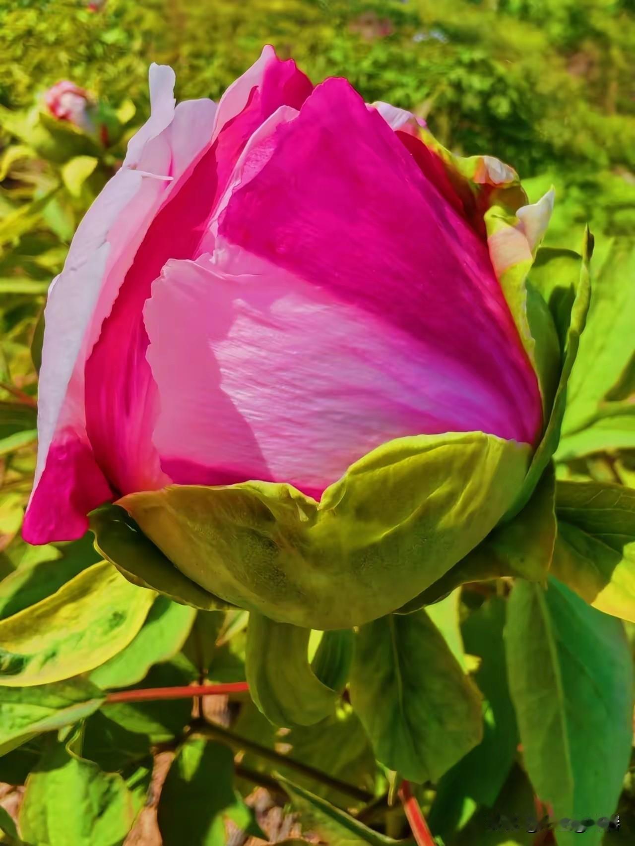 做个通透的公婆：少说多做，温和可亲，家庭才幸福1.不插手小家庭决策，是最大