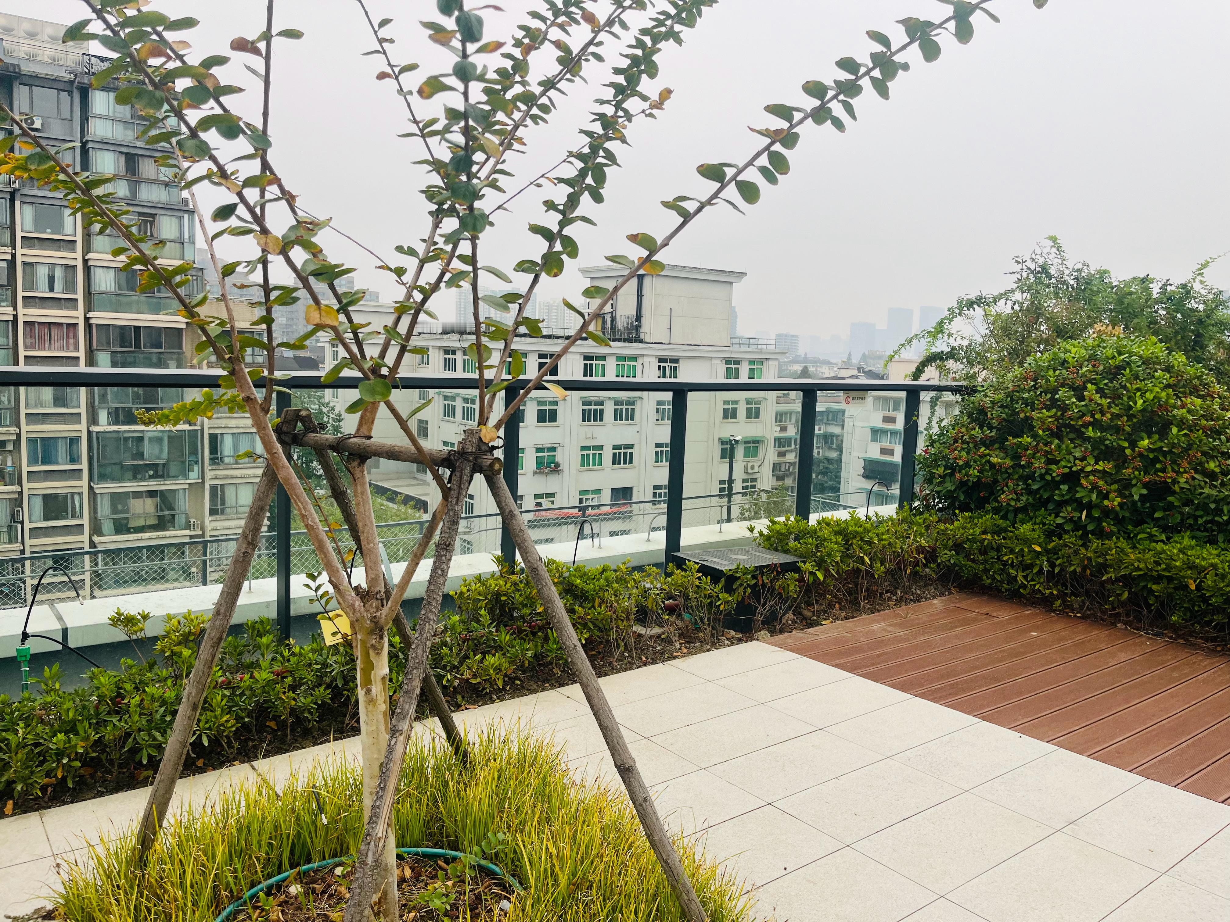 由于这两天网络传闻，小行星撞击地球事件，我焦虑的不行行！现在好了，小行星的消息不