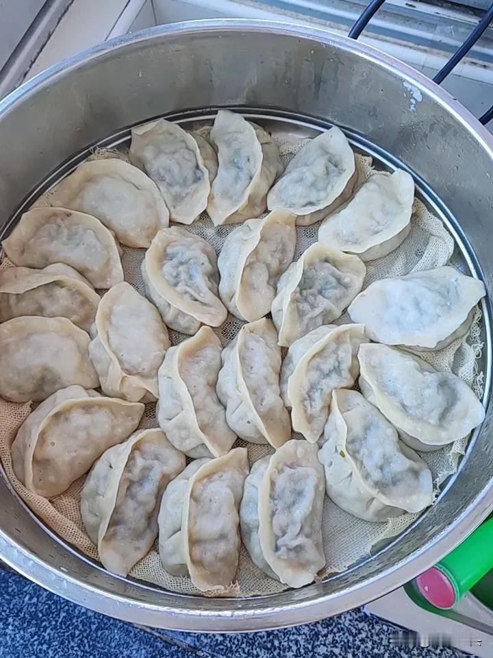 好吃不过饺子，东北人的最爱，早市买了20块钱绞好的肉馅，芹菜韭菜，包了点
