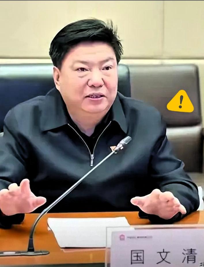 我国五矿原总经理国文清主动投案的消息传开，不少人立刻联想到矗立在印度的全球新建最