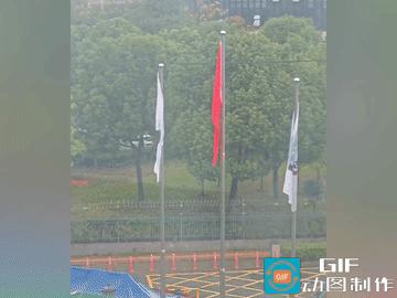 破防了！下雨天，女子站在自家窗户前，看见外面三面旗子都被雨淋湿了，垂在那里一