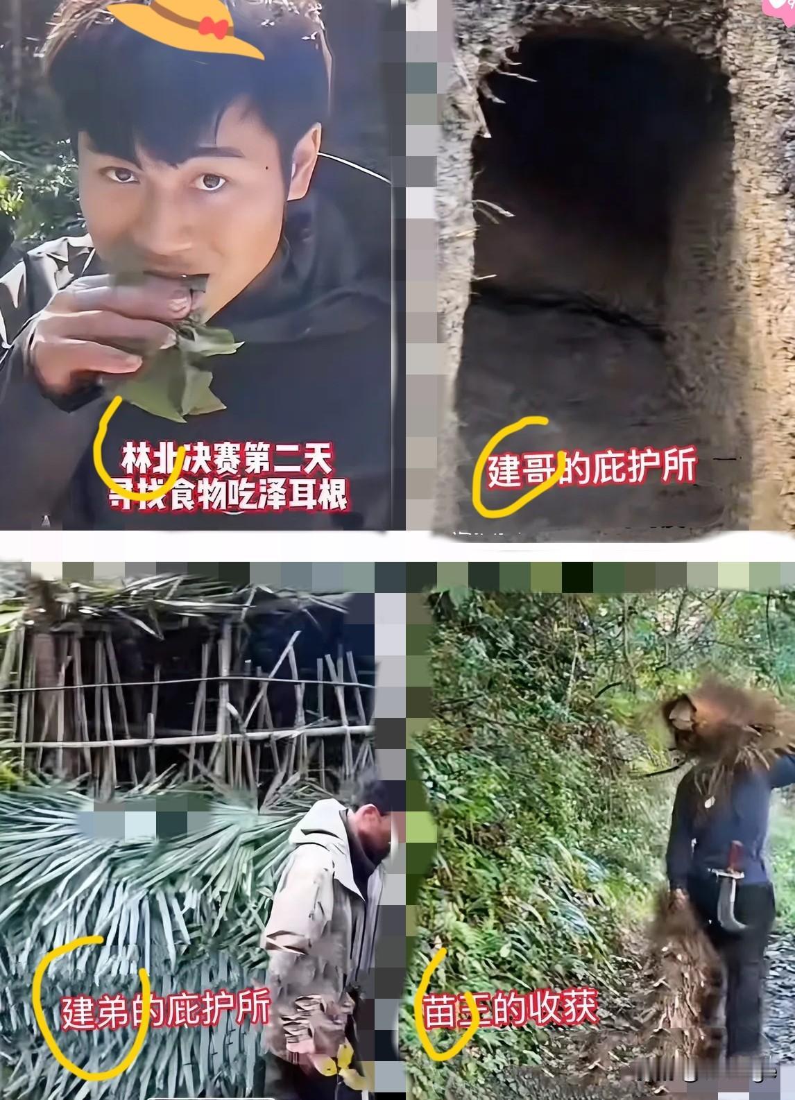 林北还是太年轻了这都决赛第二天了，光找吃的了看看其他选手，苗王直接扛回好几颗