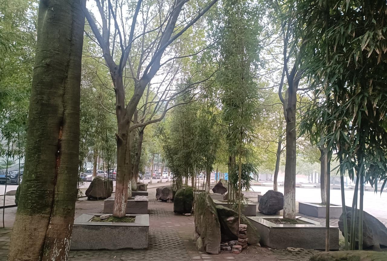 危险，快56岁的我，竟然还有想体罚不听话的学生的冲动！这学期接手初一两个班的英