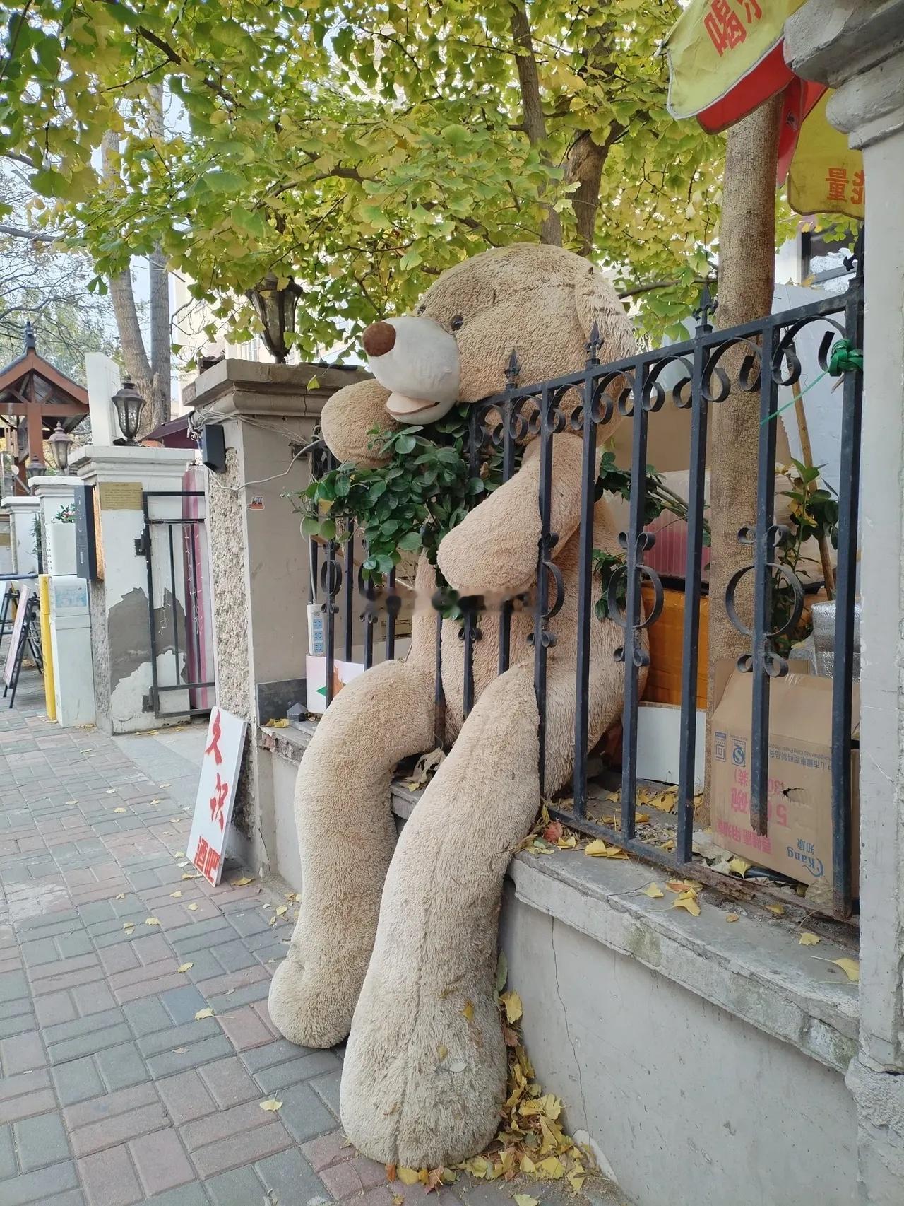 动物园用玩偶代替动物了？？？海阔试车超话