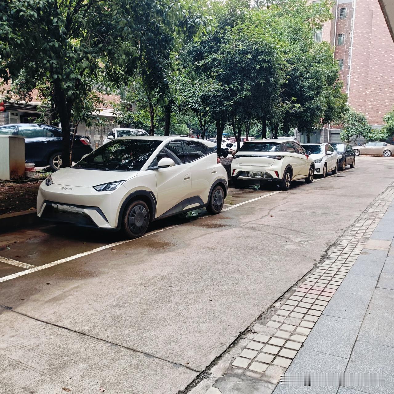 电车时代来临，油车真的会被淘汰吗？我发现现在新能源电车越来越受大家喜爱，无论