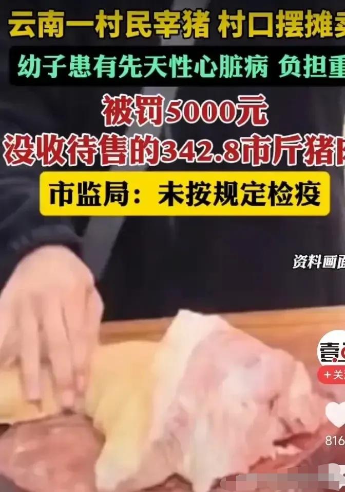有权的任性！云南文山，一女子为了给生病的孩子买药，购买一头毛猪，在家中屠宰后在村