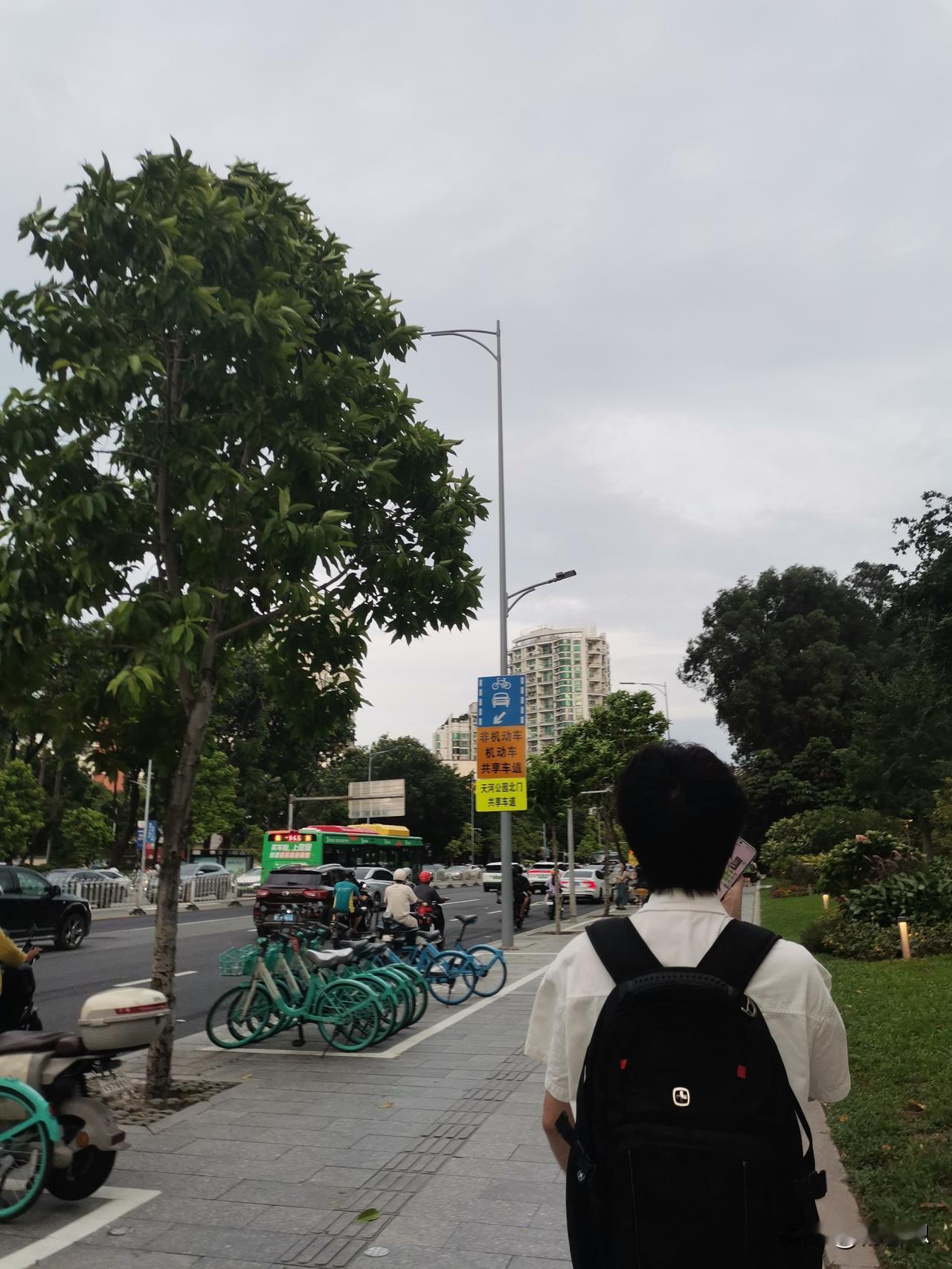 这次的台风准备应该比较周详啊，很早就出公告说五停，今天的广州确实还是风和日暖啊，