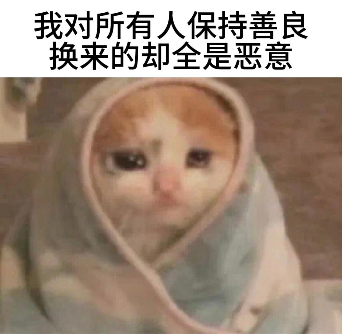 对人生毫无意义但很萌的猫meme九则meme