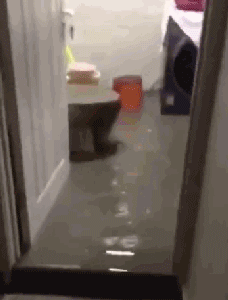 爆笑GIF: 你能别对我笑得那么甜嘛? 我心慌慌