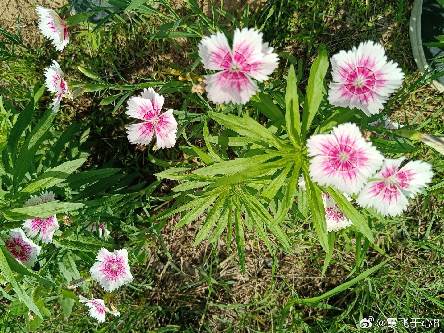 手机摄影绮丽天地辽阔世界，努力前行与美好长伴惬意相随