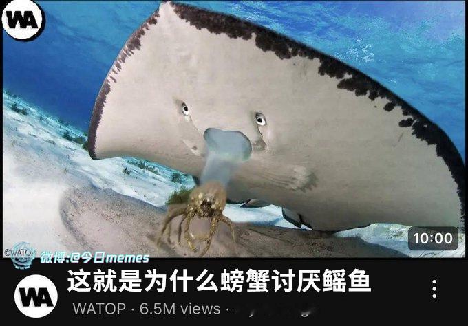我的屎啊！！！！（9gag）哎呀​​​
