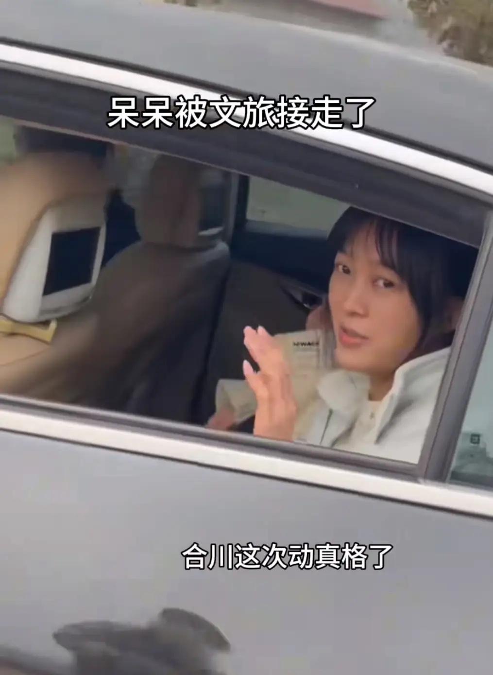 为啥合川政府急着把呆呆接走？老公说的全中还藏着更高明的心思！23岁素人凭杀猪