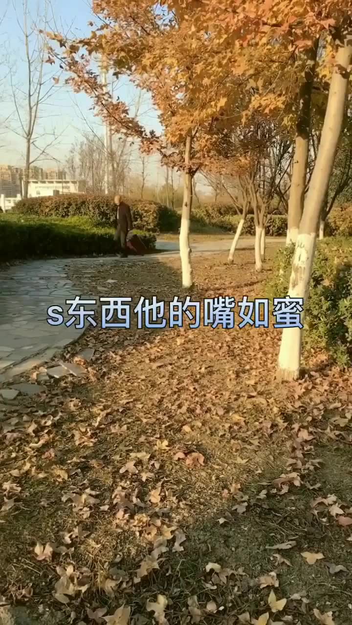 借表嫂简谱_儿歌简谱