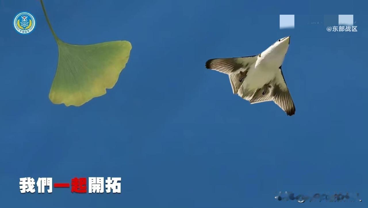 外网传疯了？[捂脸哭]这家伙厉害啊！哈哈😃！因为你根本分不清这是鸟还是战斗机？