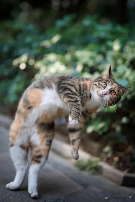 分享我这周有趣的事：