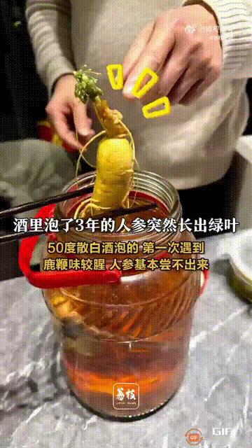 上海姚先生最近挺懵的。他三年前用50度散装白酒泡了人参和鹿鞭，前两天打开想请朋友