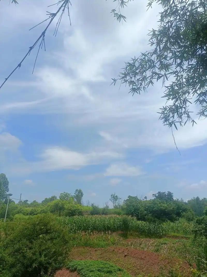 一位殡仪馆负责人感慨：“人生其实就是一场娱人的游戏，最主要的任务根本不是买房买