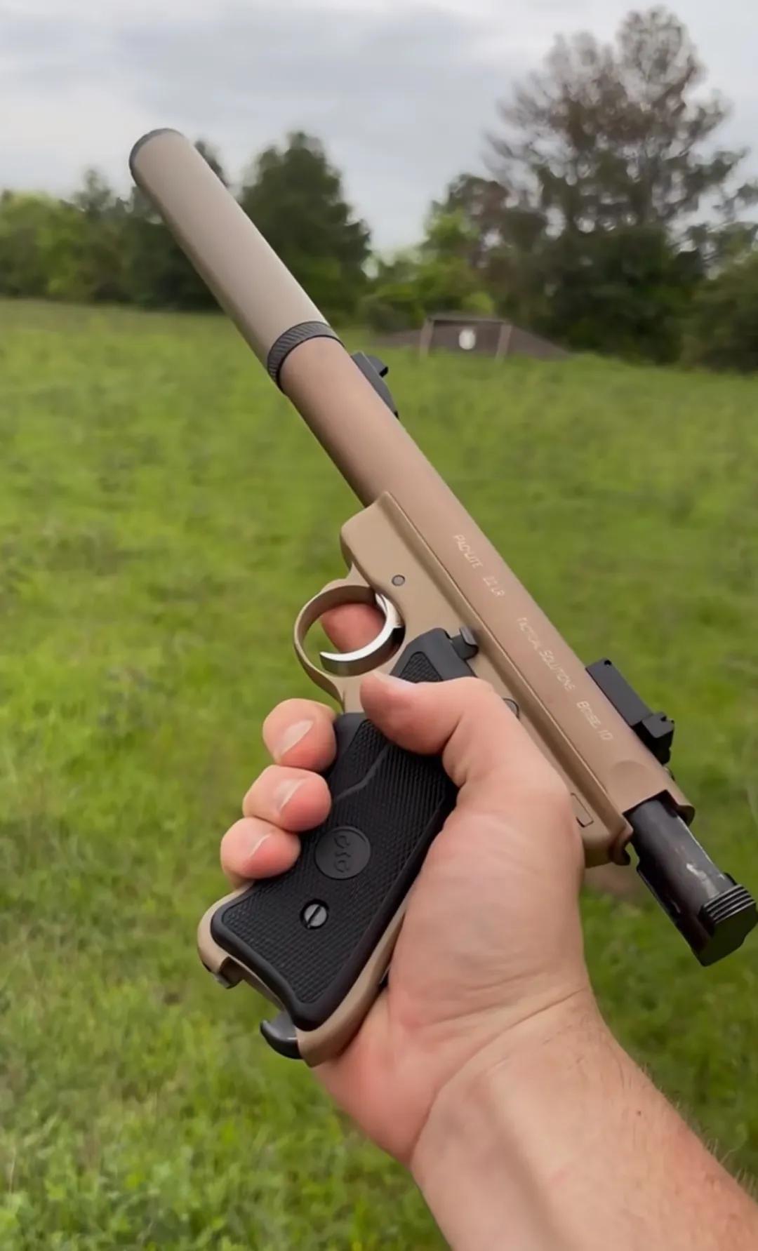 两把手枪，能说出名字的都是大神！