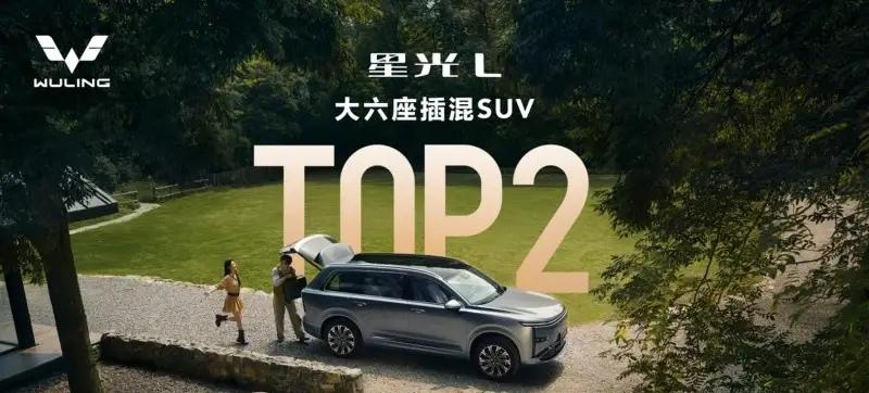 这大概是赤裸裸的现实：在德国：1度电3.31元在日本：1度电1.05元在美
