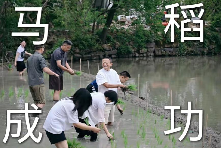 过～～过～～过时了～～