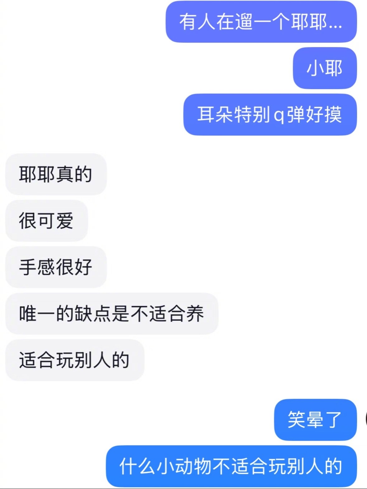 crush好像是顶级魅魔小狗​​​