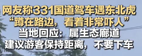 “免费让你看老虎还不满意啊？”7月29日，吉林331国道白虎山段，有位老铁正开着