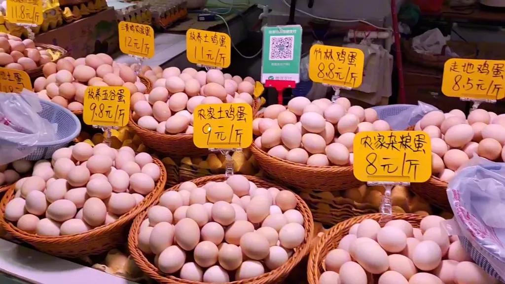 成本5000块，靠卖鸡蛋月入30万，你是不是觉得手里只有几千块就啥也干不成？有人