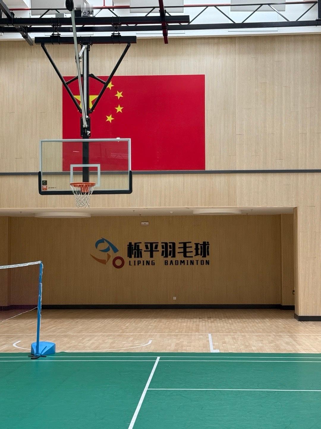 满意😃朱俊畅羽毛球​​​