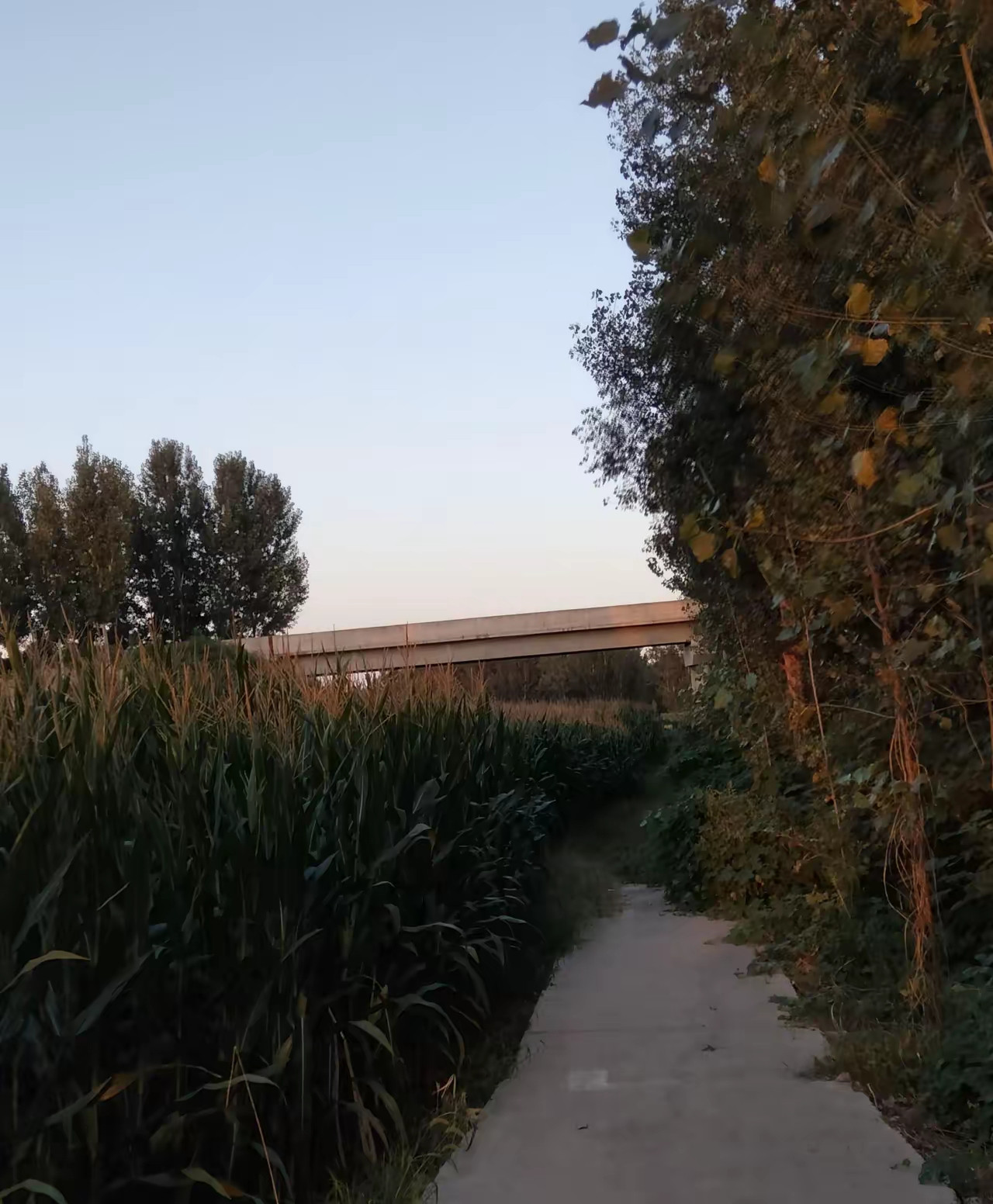 国庆凌晨，他走了。一个人，身边没人。心梗，第二天早上才发现，已经过去了五六个
