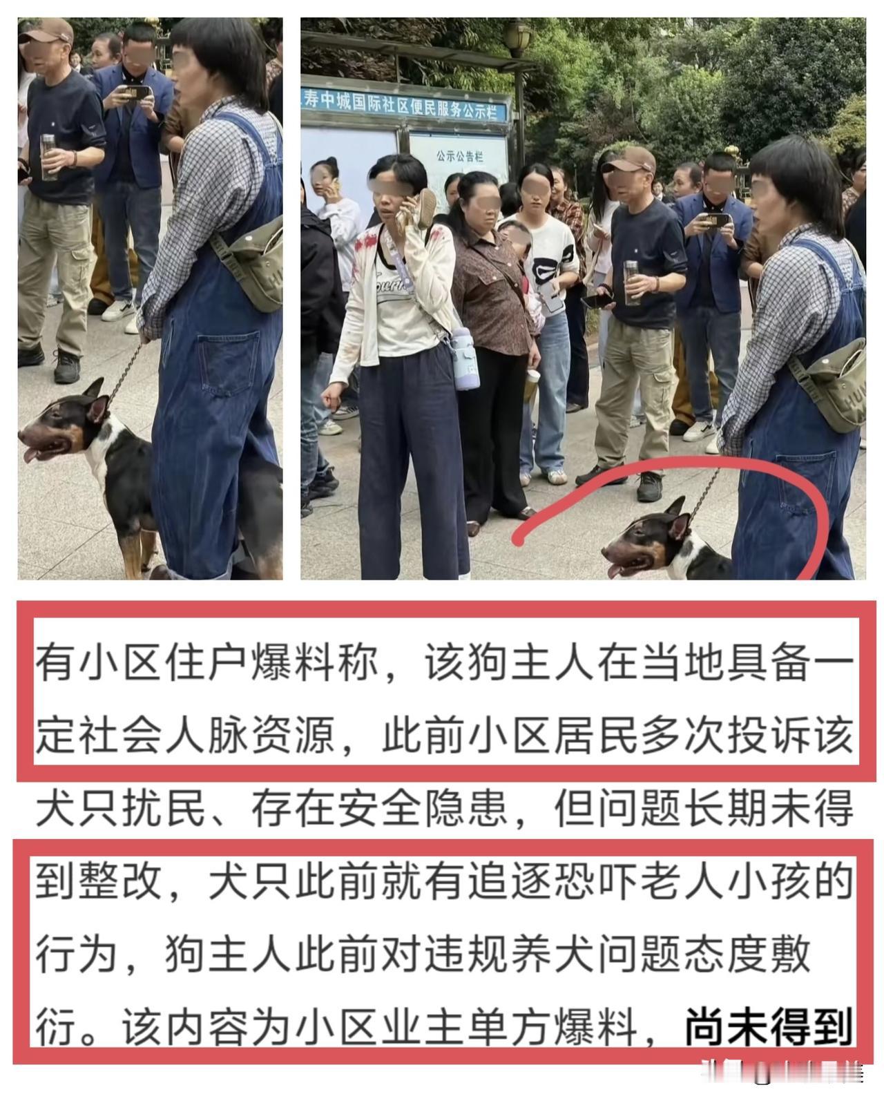 直到今天才知道，原来这个女狗主人身份应该不一般！仁寿狗咬人事件发生后，有跟她